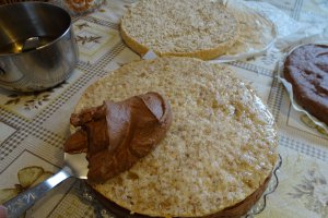 Desert tort Ema