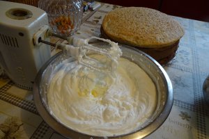Desert tort Ema