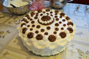 Desert tort Ema