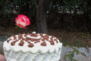 Desert tort Ema