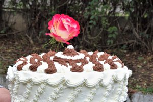 Desert tort Ema