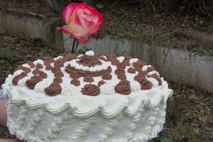 Desert tort Ema