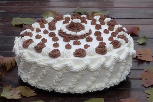 Desert tort Ema