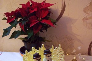 Tort Feerie de Iarna