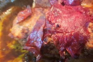 Friptura rapida de vitel cu morcov
