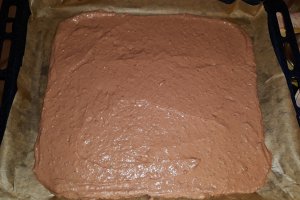 Desert tort Sumegi