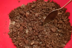 Oreo Cheesecake