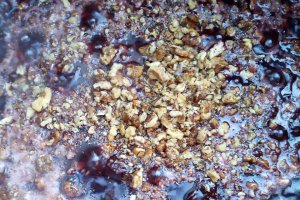 Dulceata de prune cu miez de nuca
