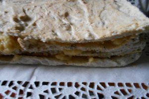 Desert tort egiptean