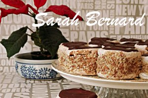 Desert Sarah Bernard