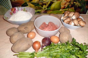 Gomboti cu carne si ciuperci brune
