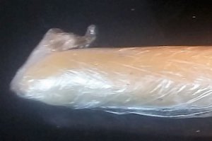Desert biscuiti melci bicolori