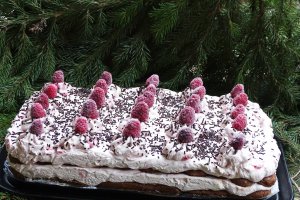 Desert Piscozmeurica