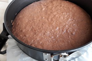 Desert tort cu crema de mure si piersici