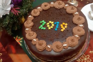 Desert tort amandina