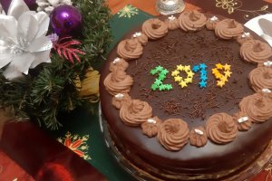 Desert tort amandina