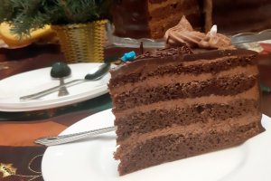 Desert tort amandina