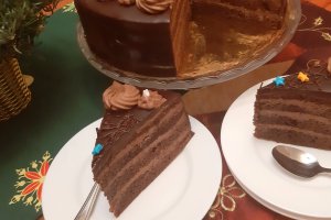 Desert tort amandina