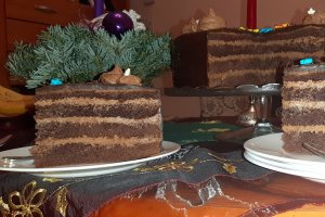 Desert tort amandina