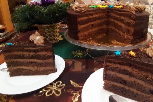 Desert tort amandina