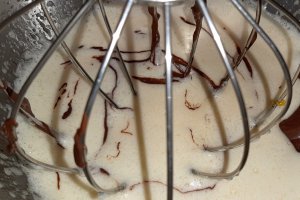 Desert tort amandina
