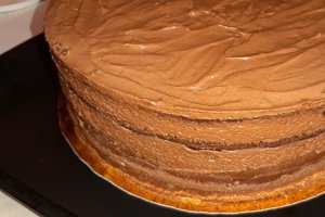 Desert tort amandina