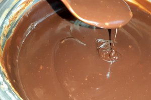 Desert tort amandina