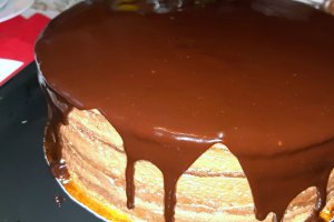 Desert tort amandina