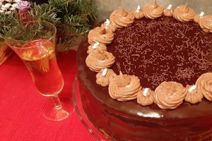 Desert tort amandina