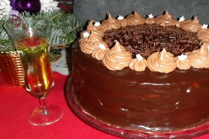 Desert tort amandina