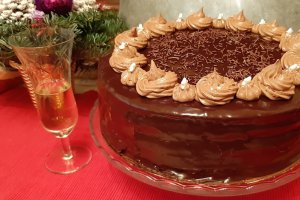 Desert tort amandina