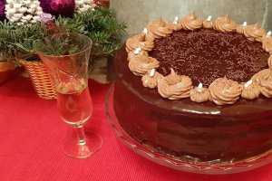 Desert tort amandina
