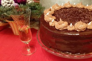 Desert tort amandina