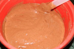 Desert tort musuroi de cartita