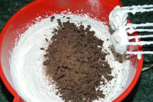 Desert tort musuroi de cartita