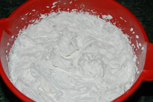 Desert tort musuroi de cartita