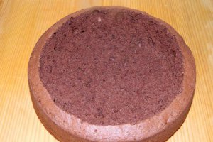 Desert tort musuroi de cartita