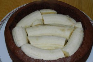 Desert tort musuroi de cartita