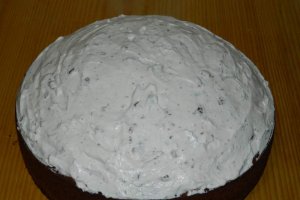 Desert tort musuroi de cartita