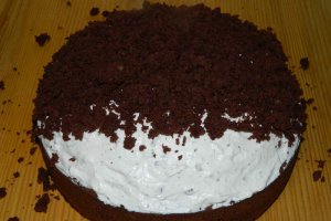Desert tort musuroi de cartita