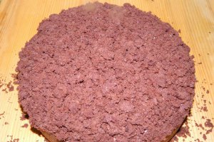 Desert tort musuroi de cartita