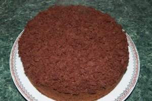 Desert tort musuroi de cartita