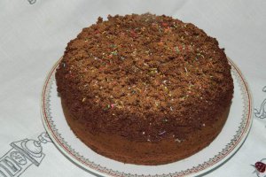 Desert tort musuroi de cartita