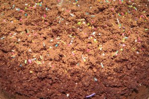 Desert tort musuroi de cartita