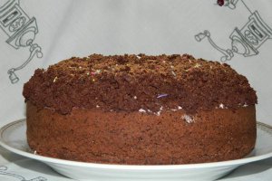 Desert tort musuroi de cartita