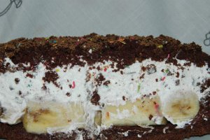 Desert tort musuroi de cartita