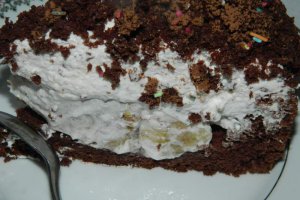 Desert tort musuroi de cartita
