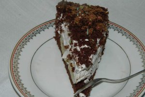 Desert tort musuroi de cartita