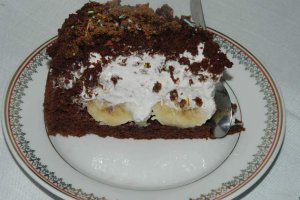 Desert tort musuroi de cartita