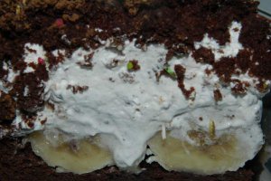 Desert tort musuroi de cartita